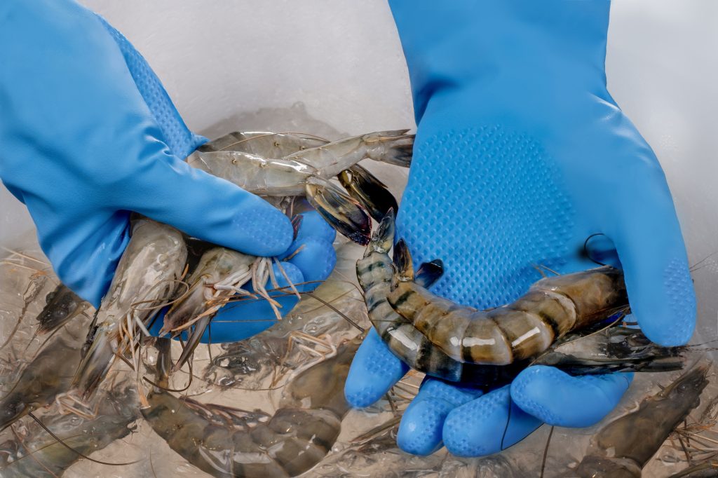 CT008 Chemical resistance glove-07