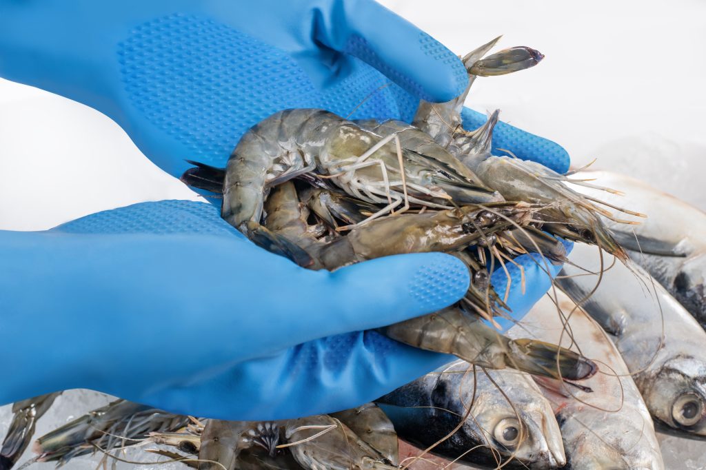 CT008 Chemical resistance glove-08