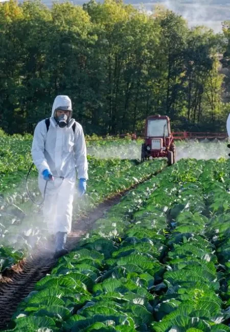 man wearing hand gloves for agriculture use